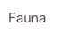 Fauna