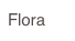 Flora
